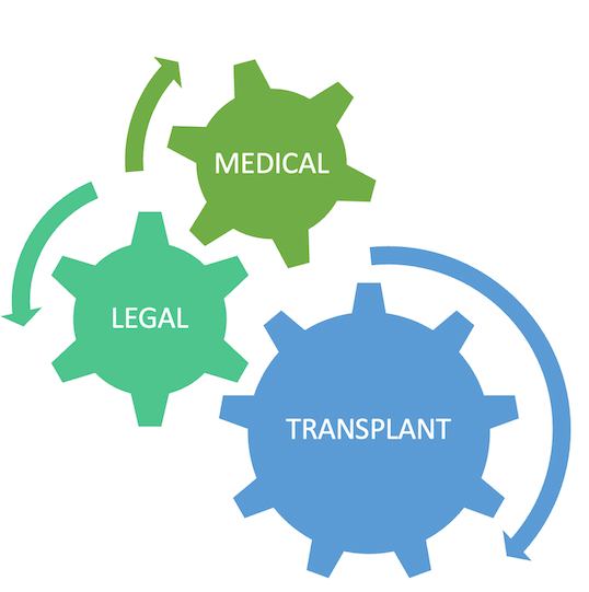 Transplant Process